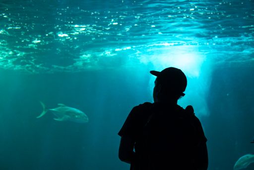 A young guy looking at small fishes swimming in the aquarium