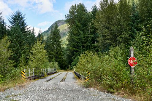 A remote logging road bridge with abandoned old rail ties in the middle and a stop sign partly hidden in the bushes beside the road.