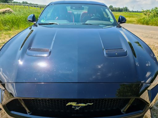 Low angle front view at a black Ford Mustang model 2018 on a sunny day