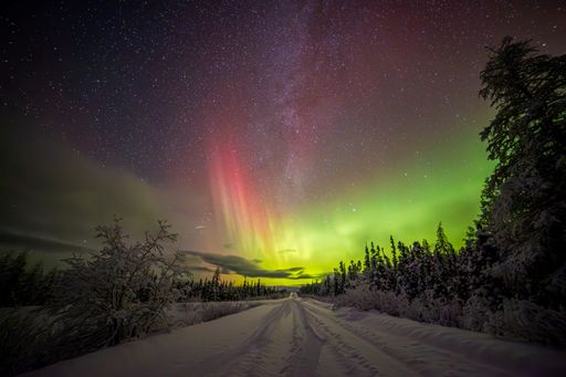 Vibrant aurora borealis illuminating snow-covered trees