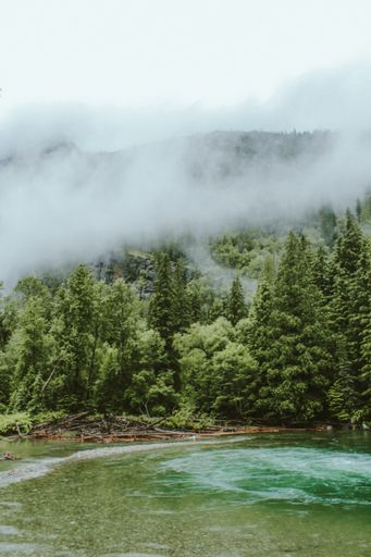 A vertical shot of water near a forest and a forested mountain in a fog in the background at Glacier National Park, Montana, USA