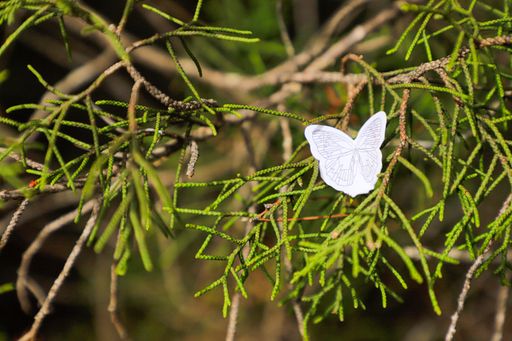 A closeup of Mediterranean rosemary leaf with a butterfly made of paper