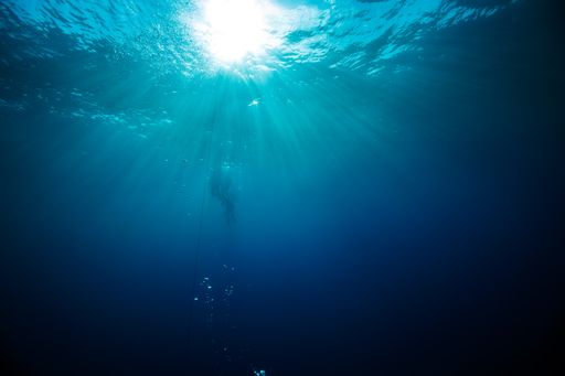 A low angle shot of people diving under the sea on a sunny day