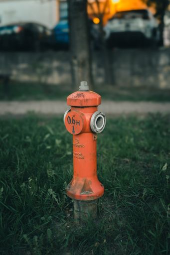 An orange fire hydrant stands in a grassy field beside a tree