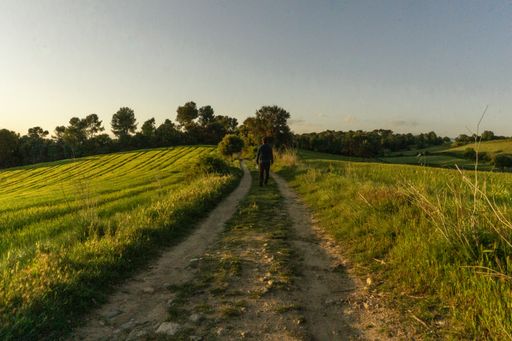 A closeup shot of a Caucasian male on grunge road through green fields in Spain