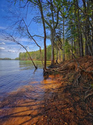 The view of Lake Lanier with lush trees on the shore. Little Ridge Park, Georgia, United States