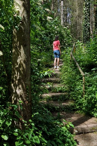 A vertical shot of a stroller in the woods near Bergisch Gladbach, Germany on a sunny day