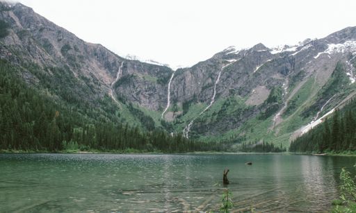 A wide shot of the Avalanche Lake near a forest and a mountain in the distance at Glacier National Park, Montana, USA