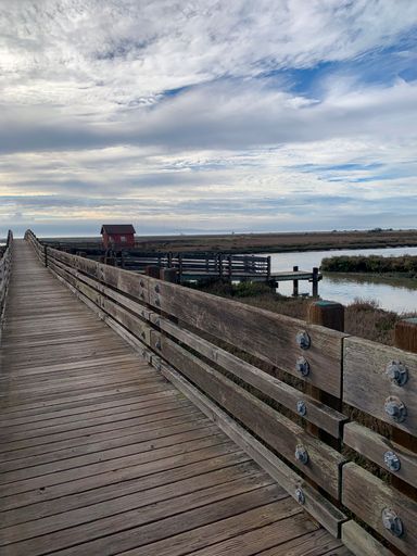 Wooden pier beside small boat on water