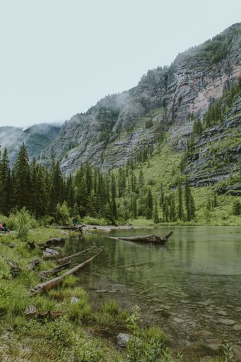 A vertical shot of the Avalanche Lake near a forest with tall trees and a mountain at Glacier National Park, Montana, USA