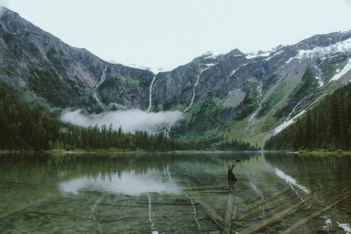 A wide shot of a broken tree in the Avalanche Lake with a forest and a mountain in the distance at Glacier National Park, Montana, USA