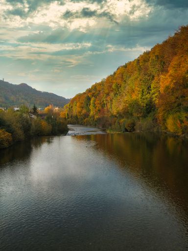 A calm dark river in a dense forest in fall