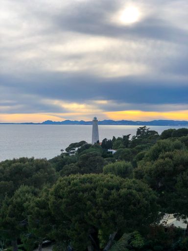 A vertical shot of a park covered in greenery surrounded by the sea during the sunset in the evening