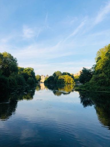 A vertical shot of a lake surrounded by greenery under the sunlight and a blue sky