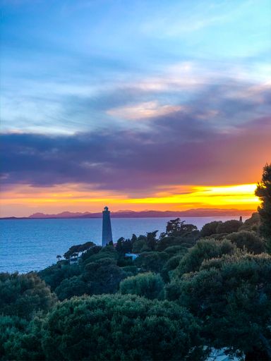A vertical shot of a park covered in greenery surrounded by the sea during the sunset in the evening