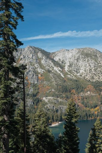 a vertical shot of tall trees near the lake Tahoe and a mountain in the distance with blue sky in the background in California, USA