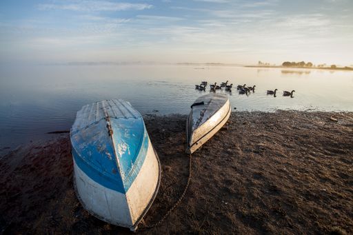 A misty morning, turnedboats on the beach and geese in the calm lake