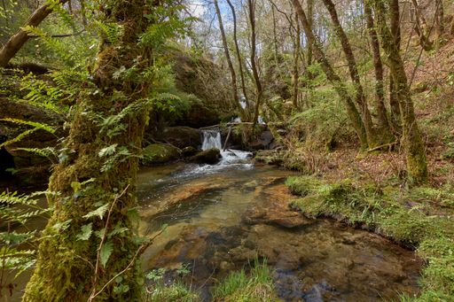 A beautiful shot of a small waterfall through mossy rocks in Galicia, Spain