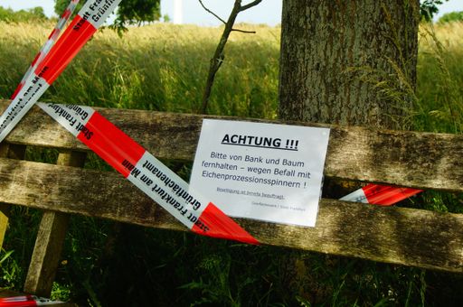 A bench under an oak tree is closed to walkers due to infestation by oak processionary moth. Germany, Frankfurt, Nieder-Erlenbach.
