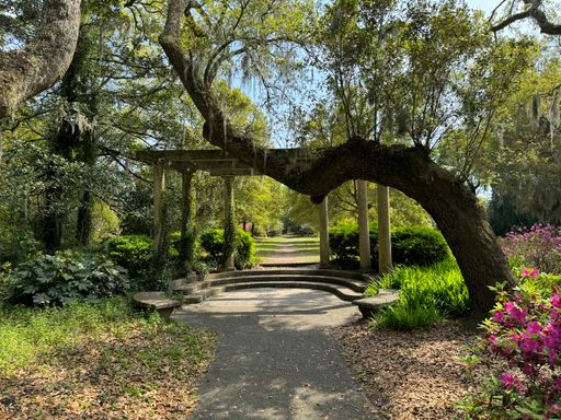 A path through a garden to a distant building with purple blooms