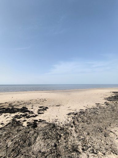 Scenic view of a sandy beach with an earthy foreground, facing the ocean and distant land