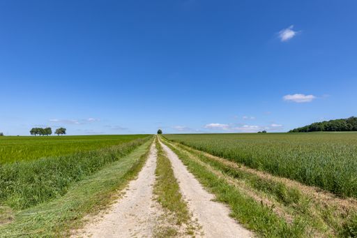 A landscape of the dirt road leading to the horizon on a sunny day