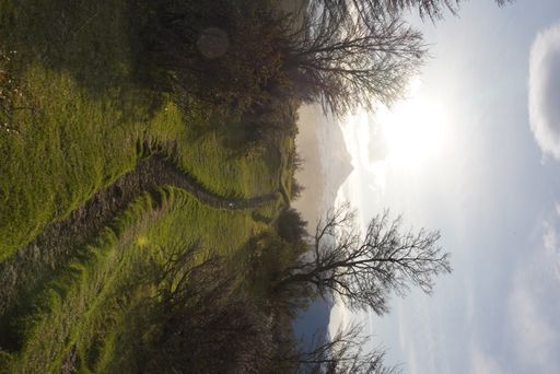 A scenic view of a green field in Torres del Paine in Chile