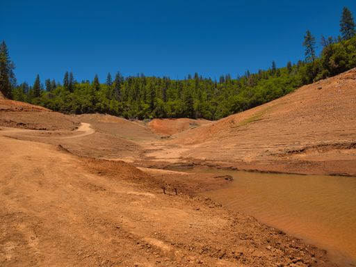 The green forests and the dried shore of Lake Shasta in California, USA
