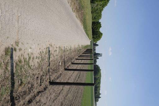 A vertical shot of a walkway with trees in the background