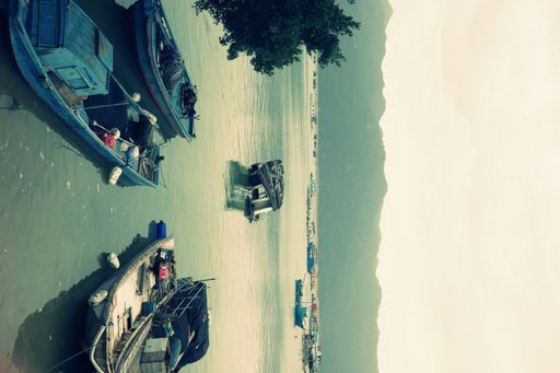 A scenic view of numerous small boats moored near a tree in the sea