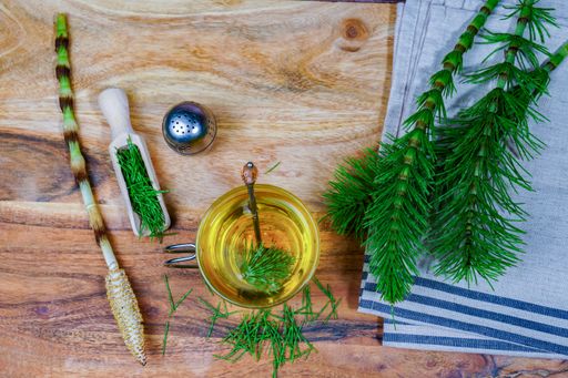 An infusion of horsetail Equisetum arvense, medicinal plant for health care with fresh branches