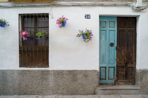 The wooden brown and blue door and window of a house decorated with potted flowers
