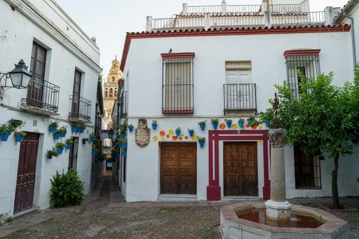 Two white buildings decorated with potted flowers with a narrow path between them