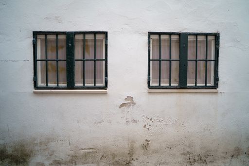 Two windows with lattice on a white wall of a building