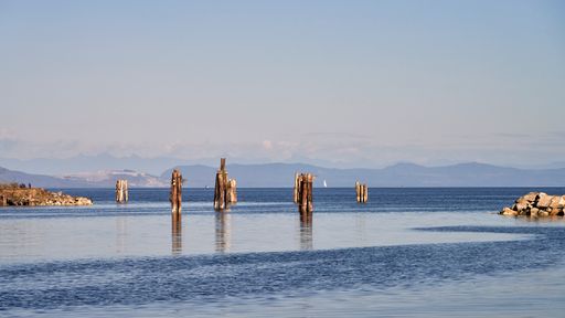 Old ocean pilings in a calm, serene ocean with a breakwater on either side and distant mountains in the background.