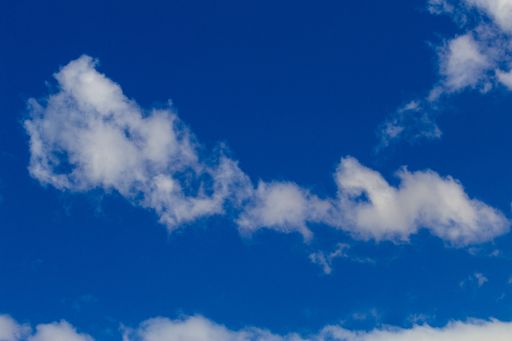 Clouds always surprise us creating shapes that our imagination transforms, I see fish