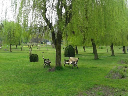 It is obvious that green areas and parks have enormous effects on the community or people who live in that neighborhood. Green spaces and parks help t