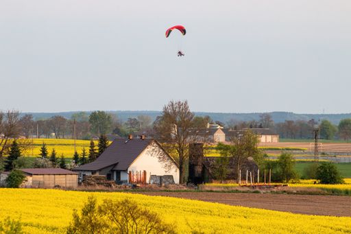A scenic view of people paragliding over yellow fields of flowers and houses in the countryside