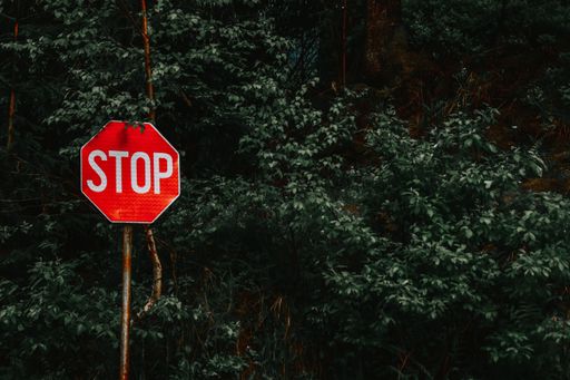 The STOP road sign in front of trees