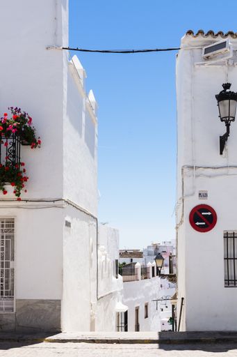Flowers in a potted plant beside a building in Vejer de la Frontera, Spain