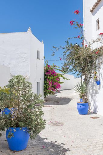 A white building with several potted plants nearby in Vejer de la Frontera, Spain