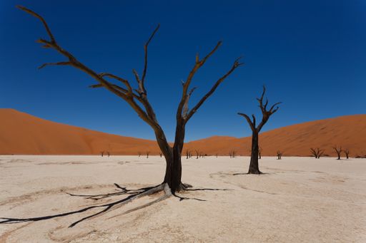 A view from Dead Vlei, Sossusvlei Namibia