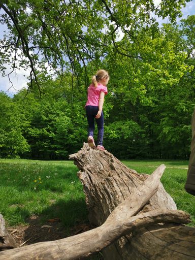 A vertical shot of a preschooler cute girl on a trunk in a park