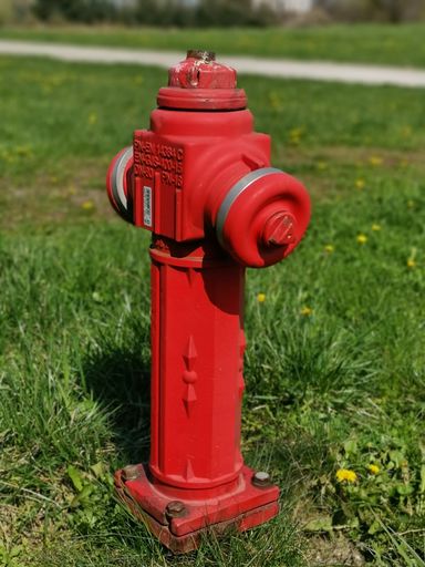 A vertical shot of a fire hydrant in a field