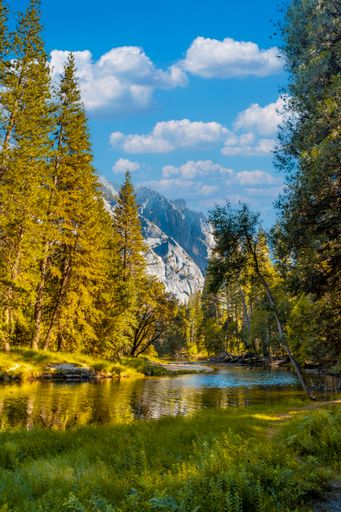 a beautiful view of Yosemite valley with a stream in California  United States