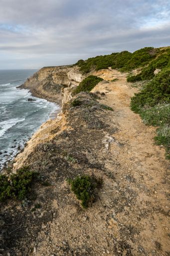 A vertical picture of a cliff covered in greenery surrounded by the sea under a cloudy sky at daytime