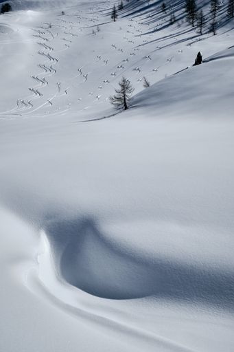 A vertical shot of a forested mountain covered in snow in Col de la Lombarde - Isola 2000 France