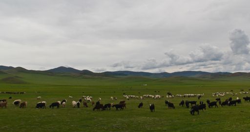 A wide angle shot of livestock grazing on a large landscape