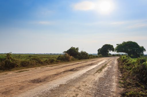 Brazilian dirt road in perspective. Famous Brazilian Transpantaneira dirt road. Pantanal area, Brazil