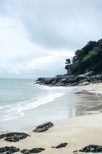 A vertical shot of a beautiful empty beach with cliffs and greenery on the side and amazing cloudy sky